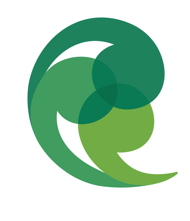 PiNZ logo