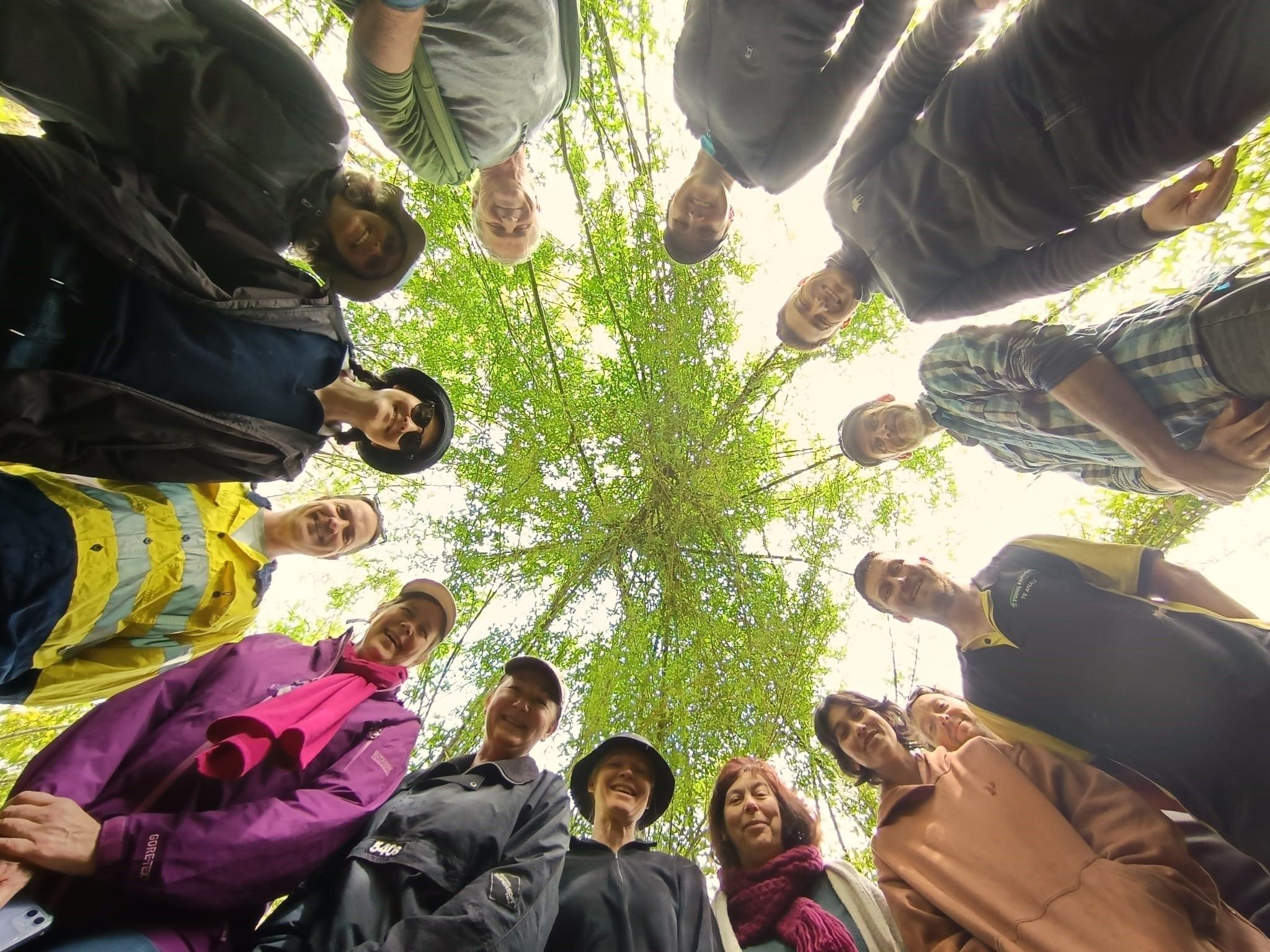 Matakana Permaculture Design Course