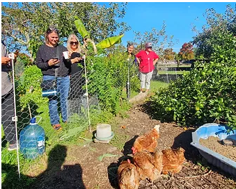 Field Trip to Permaculture Properties in the Matakana region